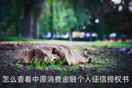 个人信用查询授权书怎么获取，请问中国银行查询个人信用信息报告客户授权书要去哪里领或下载