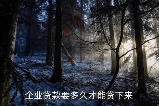 企业贷款要多久才能贷下来