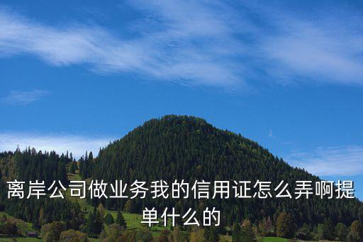 离岸公司做业务我的信用证怎么弄啊提单什么的
