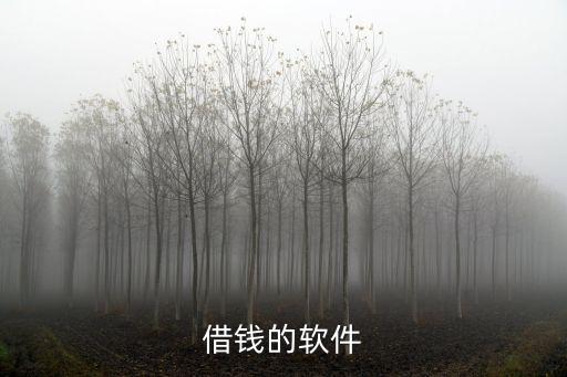 借钱的软件