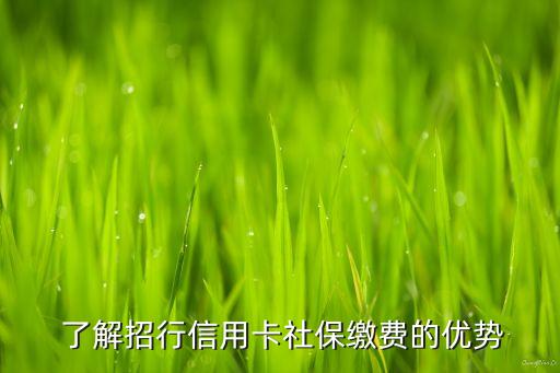 了解招行信用卡社保缴费的优势