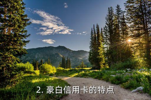 民生豪白信用卡，民生银行推出豪白信用卡