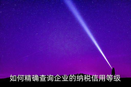 如何精确查询企业的纳税信用等级