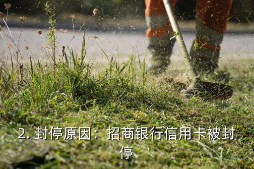 招商信用卡被关，招商银行信用卡被封停