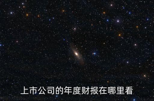 上市公司的年度财报在哪里看