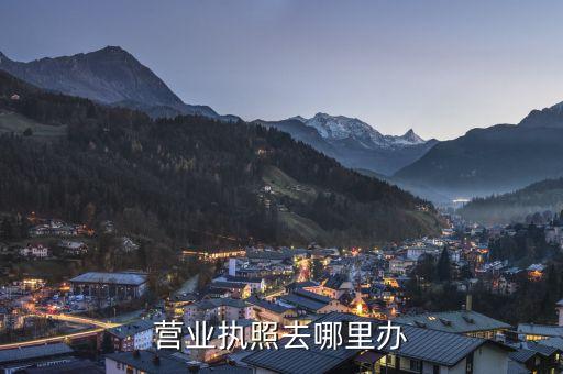 营业执照去哪里办