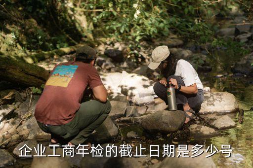 企业工商年检的截止日期是多少号