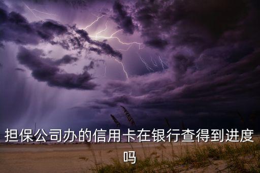 担保公司办的信用卡在银行查得到进度吗