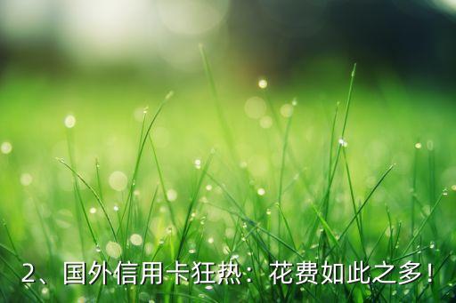 国外用信用卡狂人，国外信用卡狂热：花费如此之多！