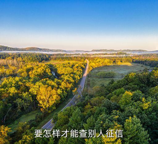 想要偷偷的查老公征信怎么查，要怎样才能查到老公欠多少外债