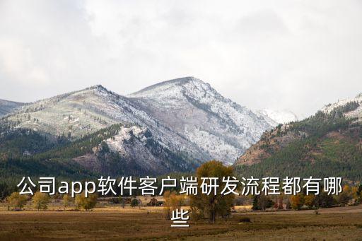 公司app软件客户端研发流程都有哪些