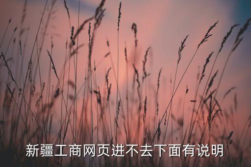 新疆工商网页进不去下面有说明