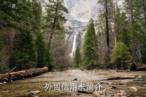 外贸信用卡简介