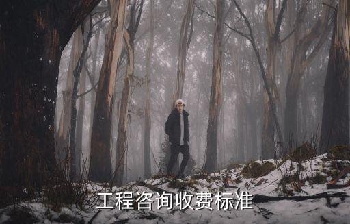工程咨询收费标准