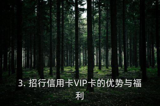 招行信用卡vip卡，招商银行信用卡VIP卡产品名称优化