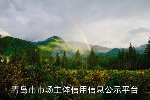 青岛市市场主体信用信息公示平台