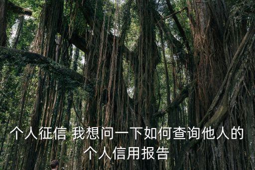 个人征信 我想问一下如何查询他人的个人信用报告