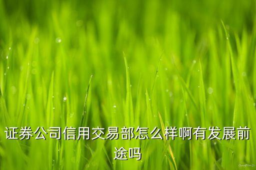 证券公司信用交易部怎么样啊有发展前途吗