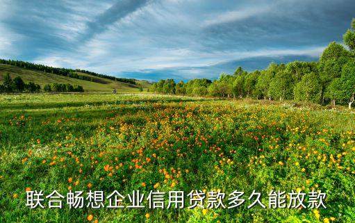 联合畅想企业信用贷款多久能放款