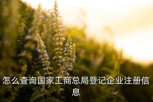工商公司注册查询网站入口，怎么查询国家工商总局登记企业注册信息