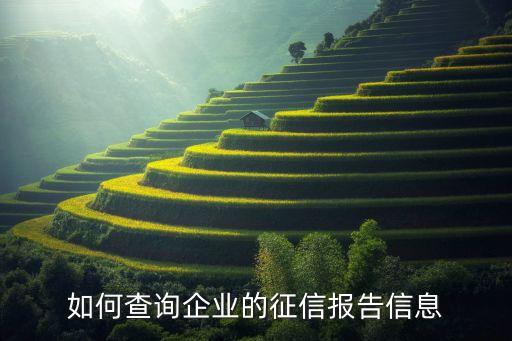 如何查询企业的征信报告信息