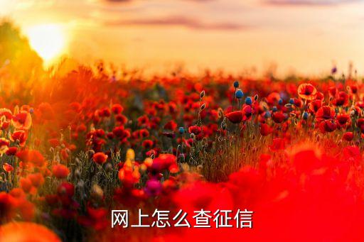 网上怎么查征信