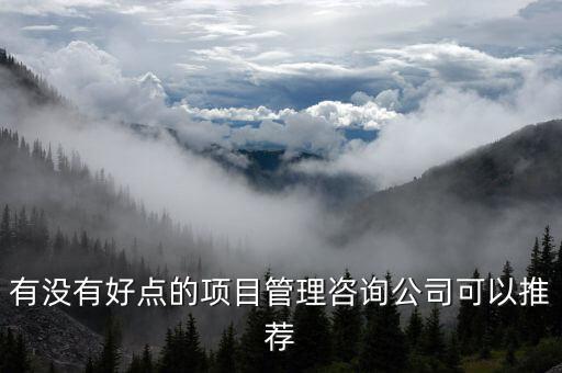 有没有好点的项目管理咨询公司可以推荐