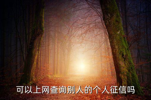 可以上网查询别人的个人征信吗