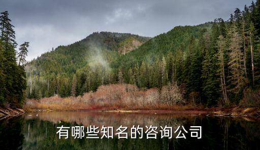 有哪些知名的咨询公司