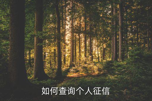 如何查询个人征信
