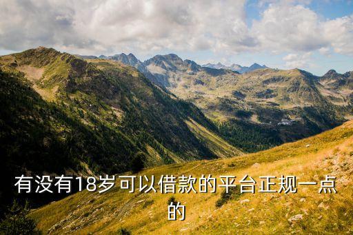 有没有18岁可以借款的平台正规一点的