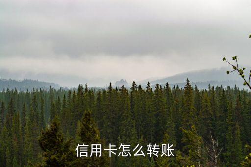 信用卡怎么转到公司卡上，如何将用信用卡的钱转入工商帐户