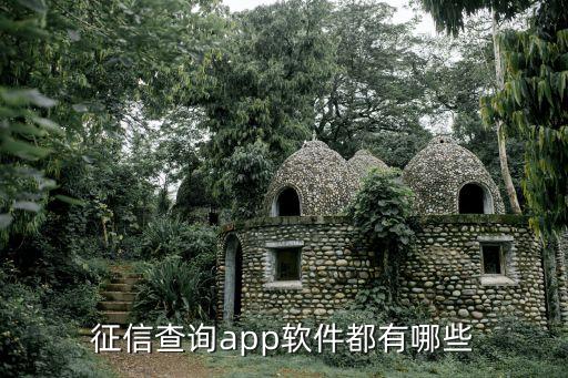 征信查询app软件都有哪些