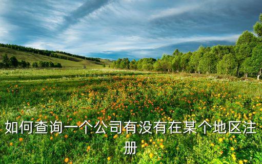 如何查询地址是否被注册公司，怎么查出一个地方有没有注册过公司