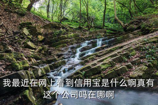 我最近在网上看到信用宝是什么啊真有这个公司吗在哪啊