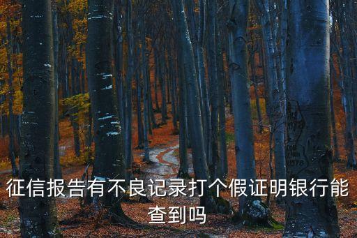 征信报告有不良记录打个假证明银行能查到吗