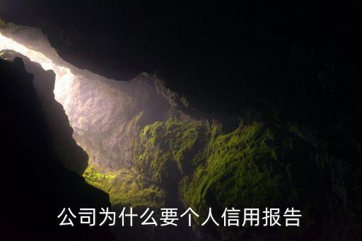 公司为什么要个人信用报告