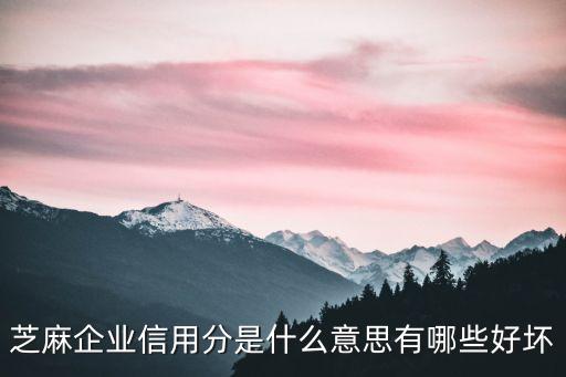 芝麻企业信用分是什么意思有哪些好坏