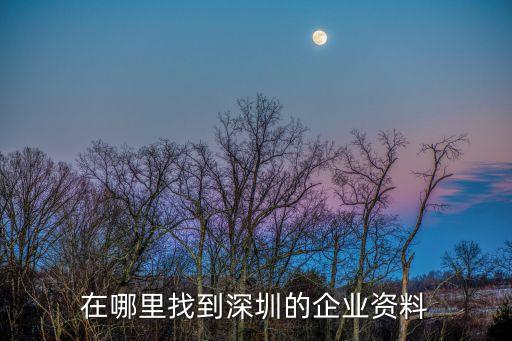 深圳企业信息查询官网入口，深圳工商登记信息查询