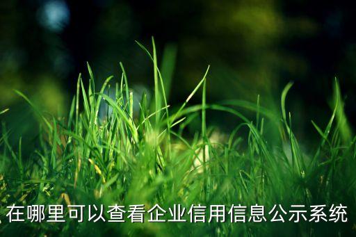 在哪里可以查看企业信用信息公示系统