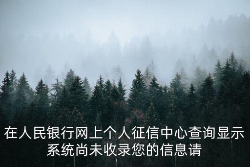 在人民银行网上个人征信中心查询显示系统尚未收录您的信息请