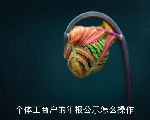 个体工商户的年报公示怎么操作