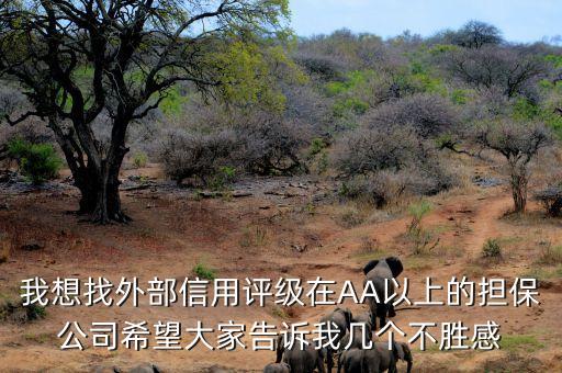 我想找外部信用评级在AA以上的担保公司希望大家告诉我几个不胜感