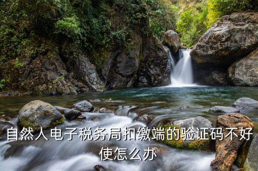 自然人电子税务局扣缴端的验证码不好使怎么办