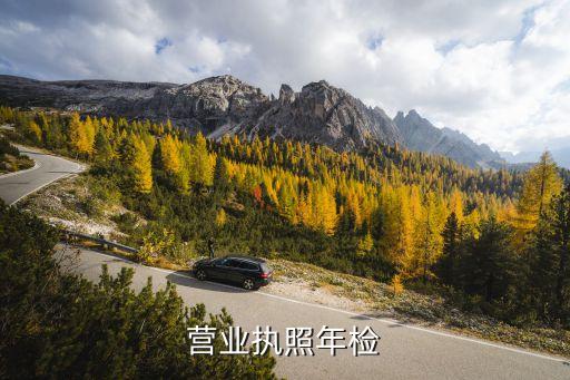 营业执照在线年审官网，咋么在网上年审营业执照