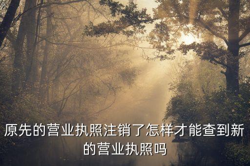 原先的营业执照注销了怎样才能查到新的营业执照吗