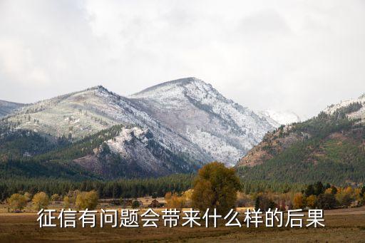查天下信用的后果，天下信用可靠吗怎么样退出该系统