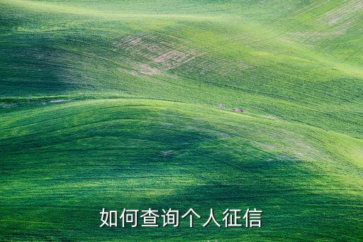 中国征信公开网查询系统，如何查询个人征信
