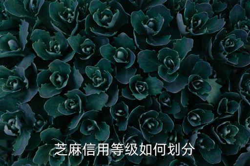 信用评级的等级，企业信用等级分几级