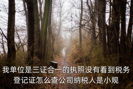 我单位是三证合一的执照没有看到税务登记证怎么查公司纳税人是小规